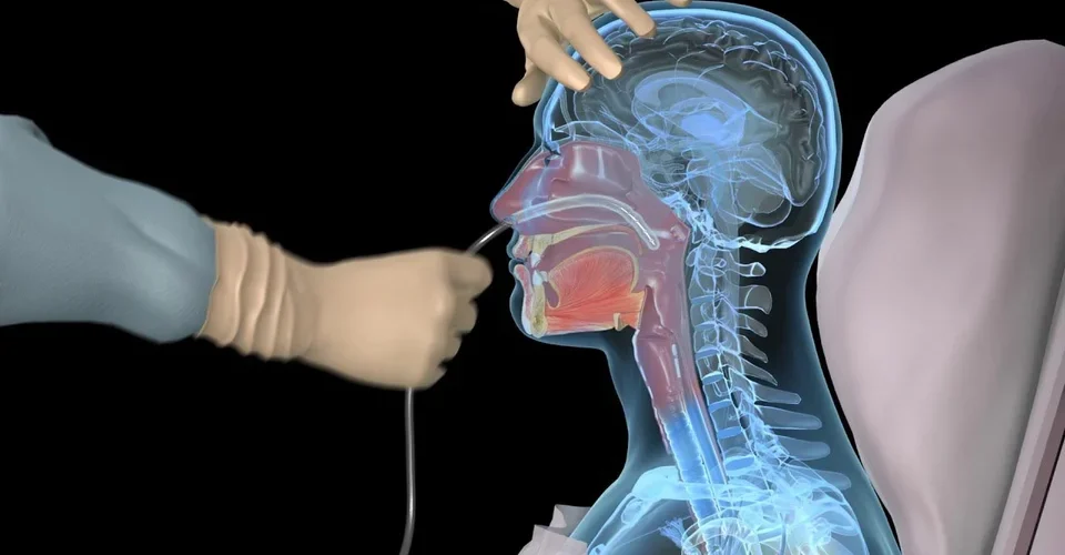 288863903 1509630709494878 2154316663083905066 n 960x500