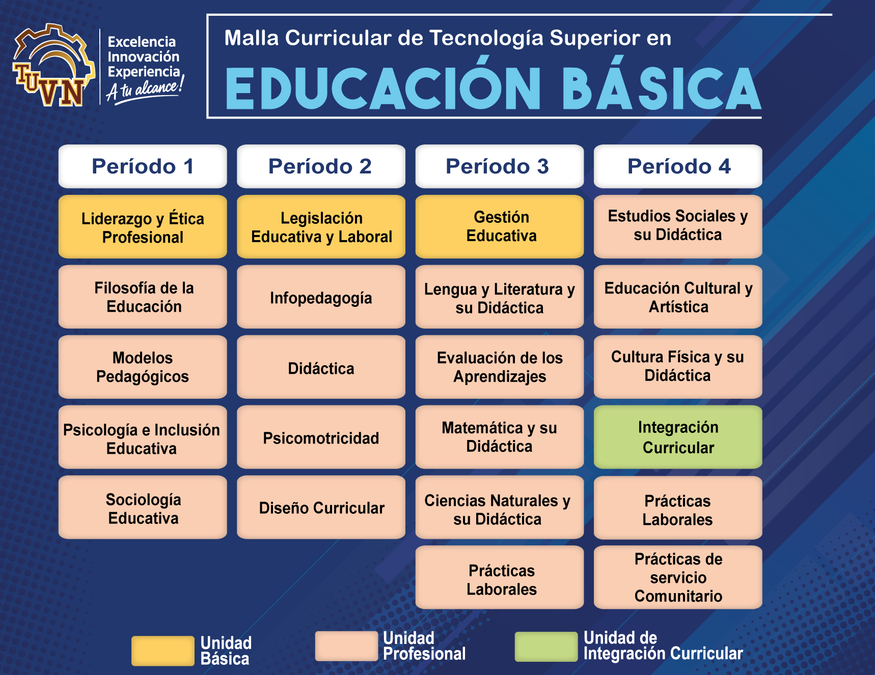 EDUCACION BASICA